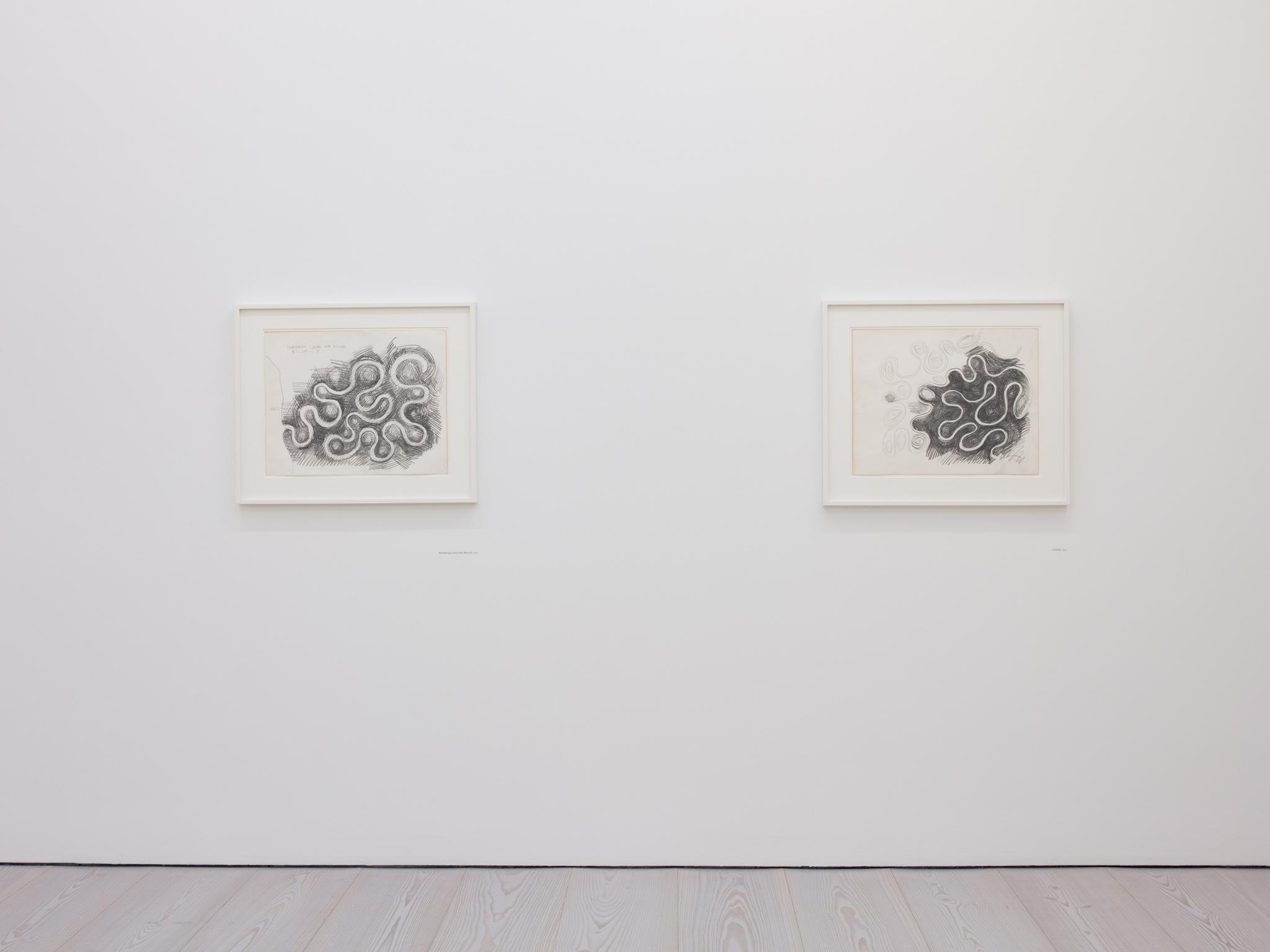 installation at Marian Goodman Gallery, London