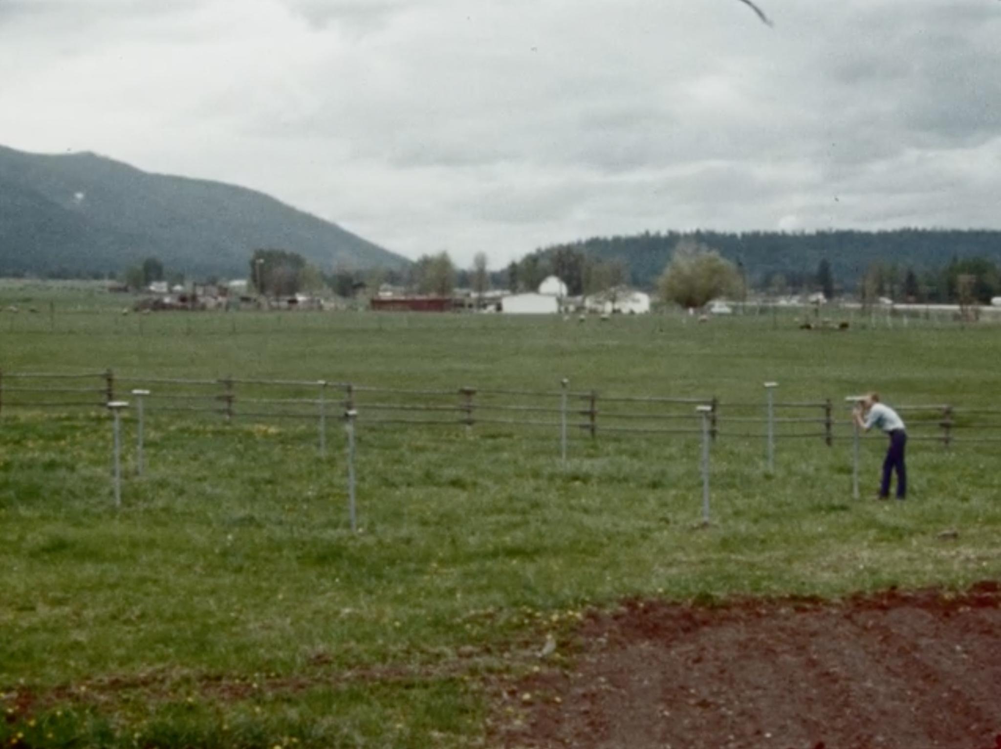 a still from a film showing an outdoor Locator sculpture in use