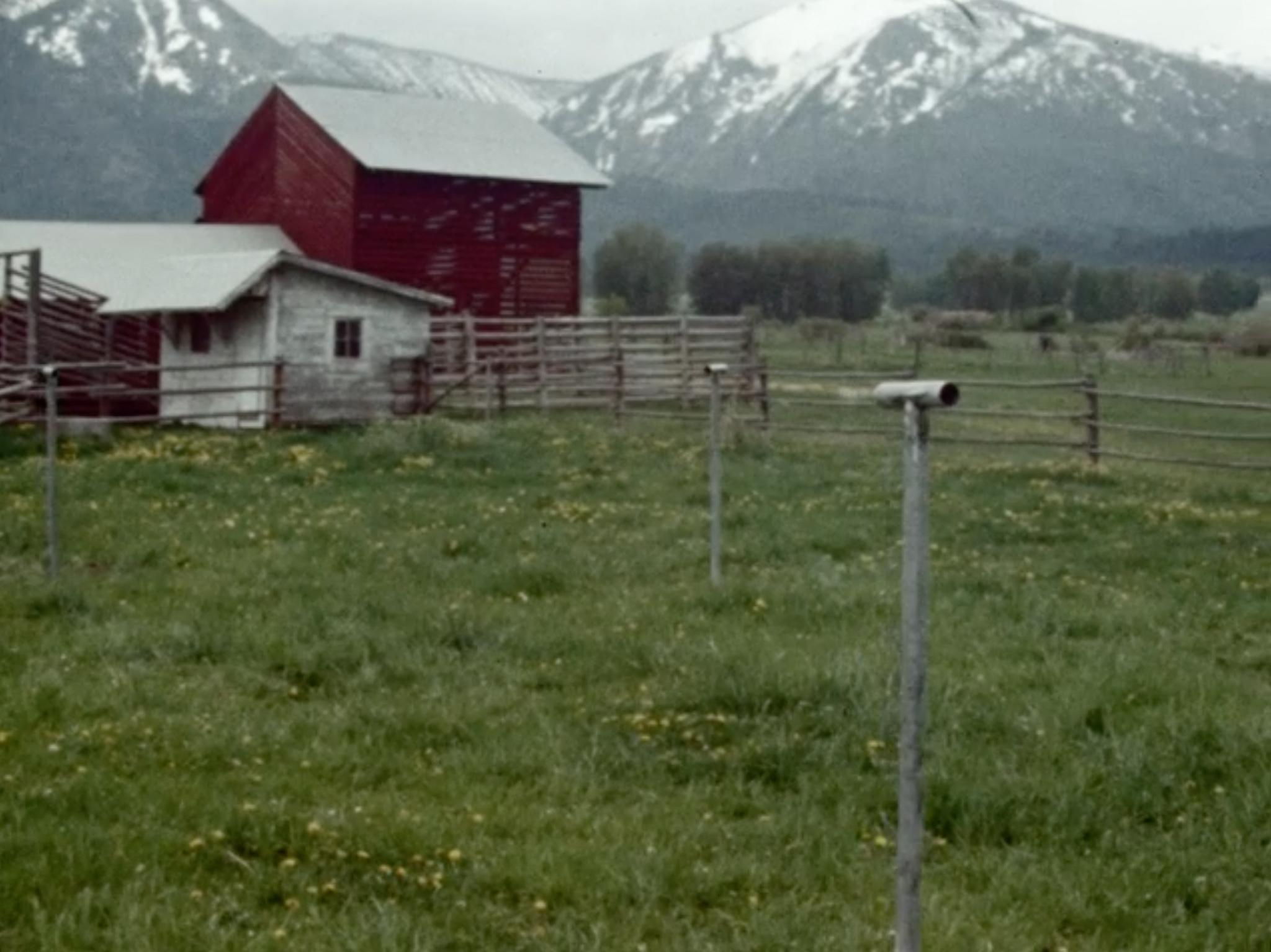 a still from a film showing an outdoor Locator sculpture in use