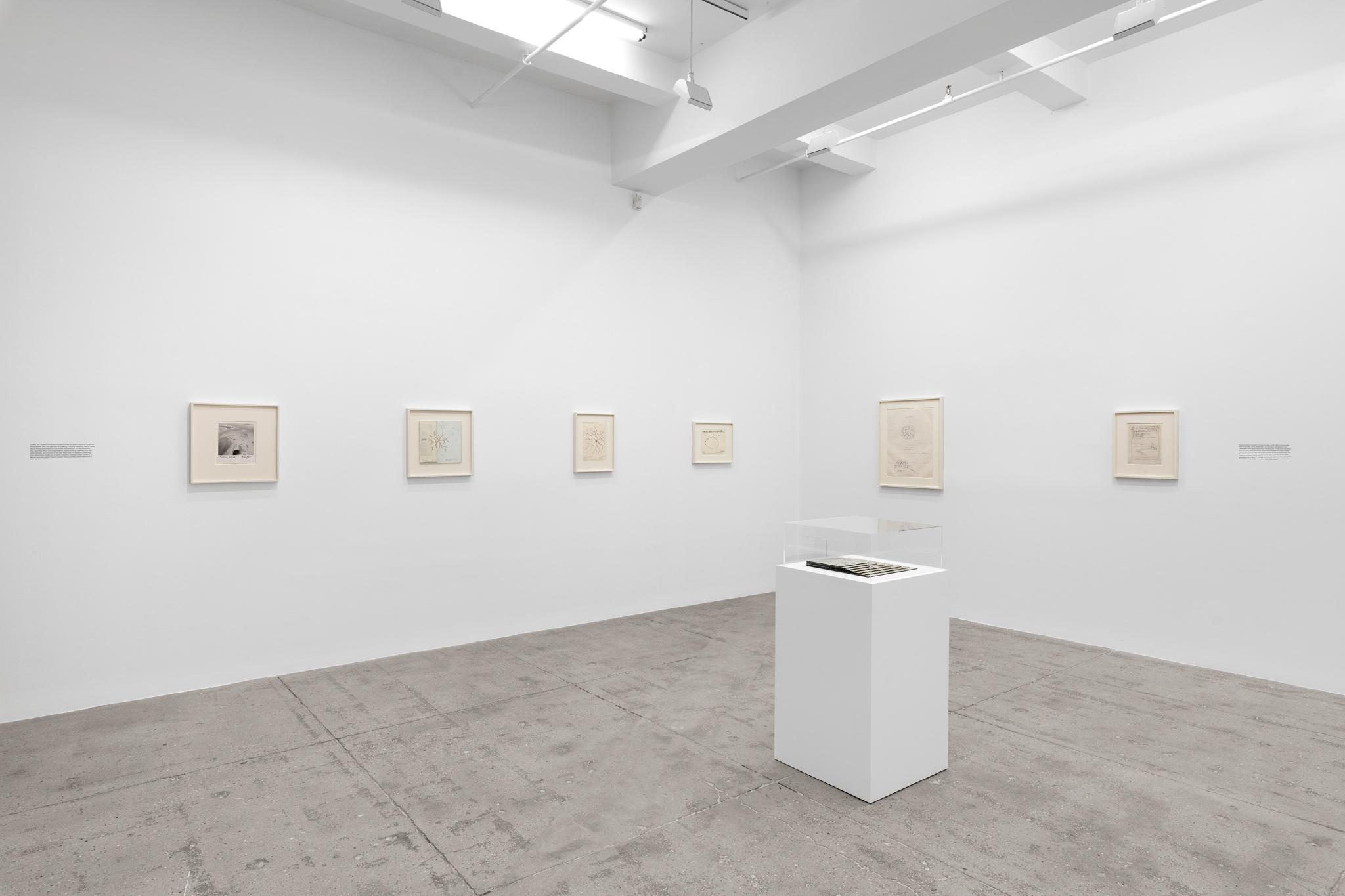 installation at Marain Goodman Gallery, Tribeca