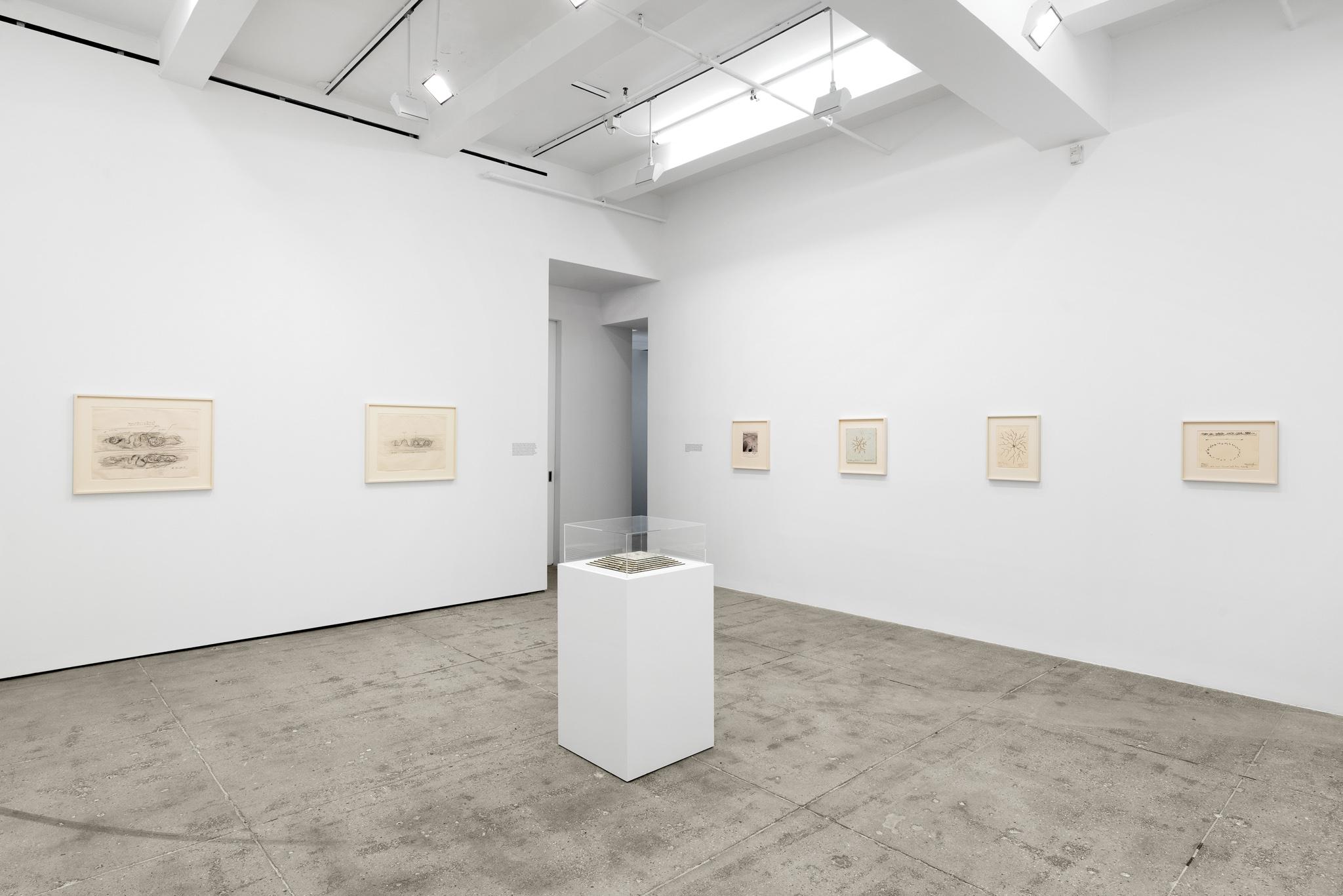 installation at Marain Goodman Gallery, Tribeca