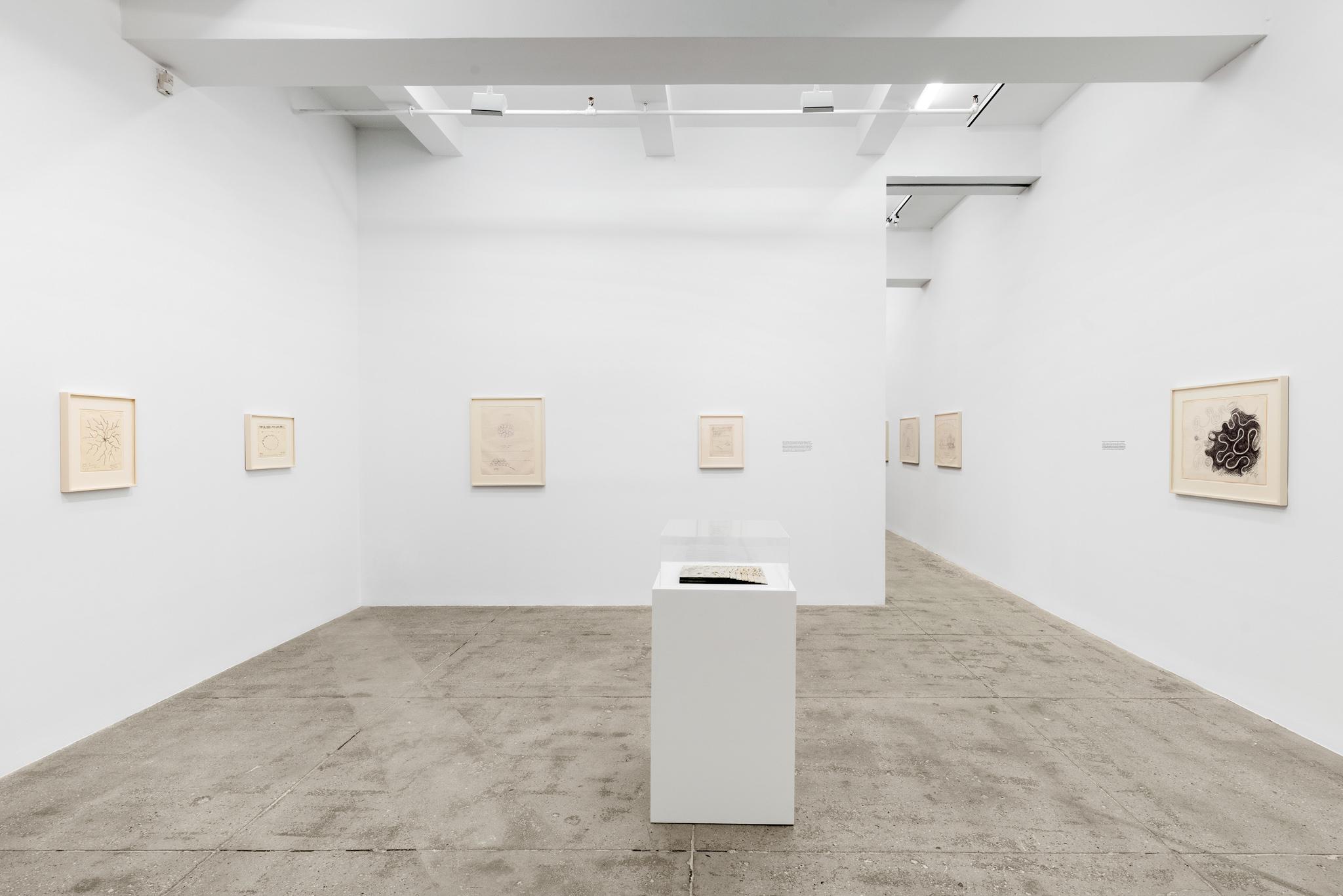 installation at Marain Goodman Gallery, Tribeca