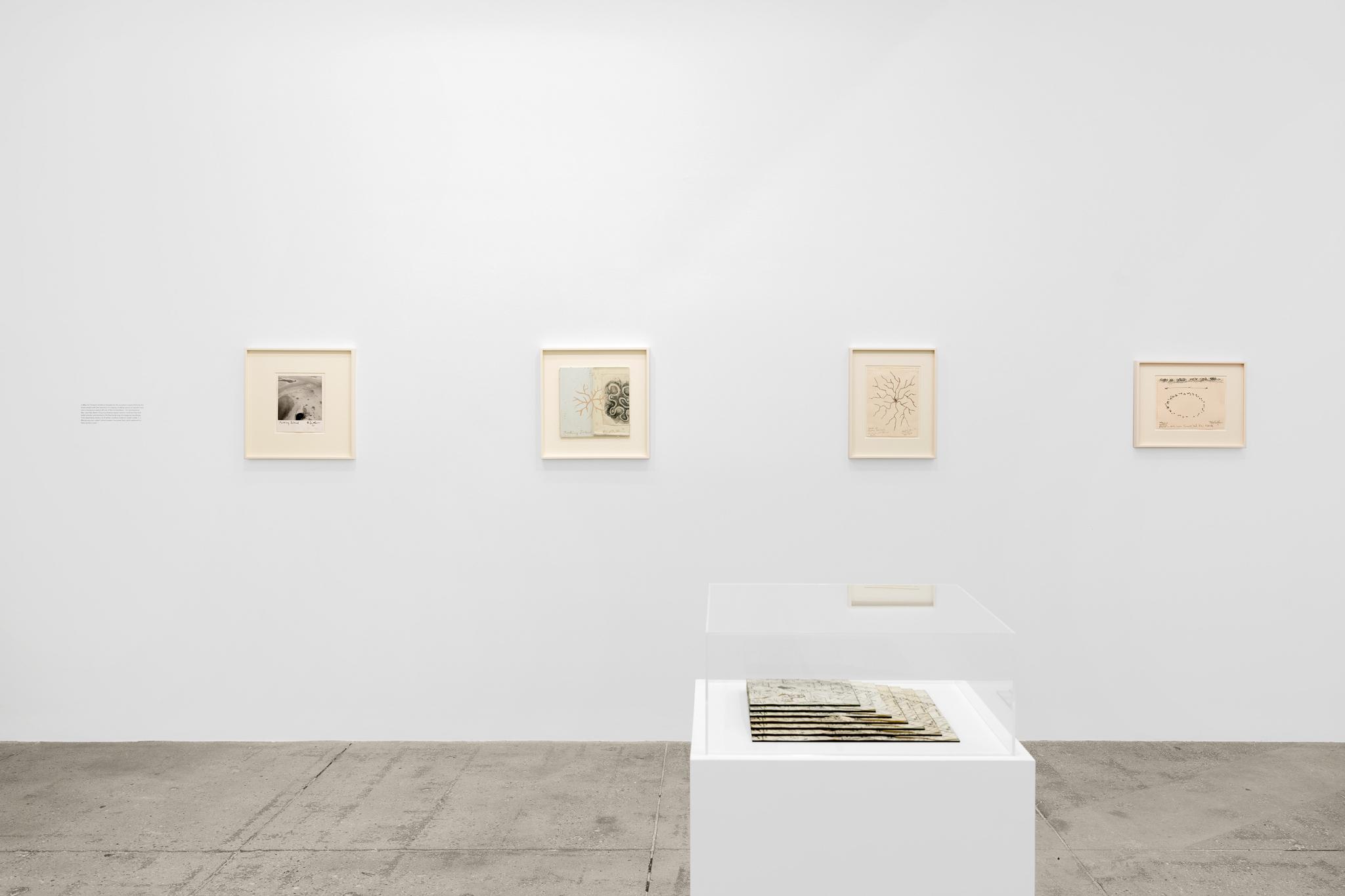 installation at Marain Goodman Gallery, Tribeca