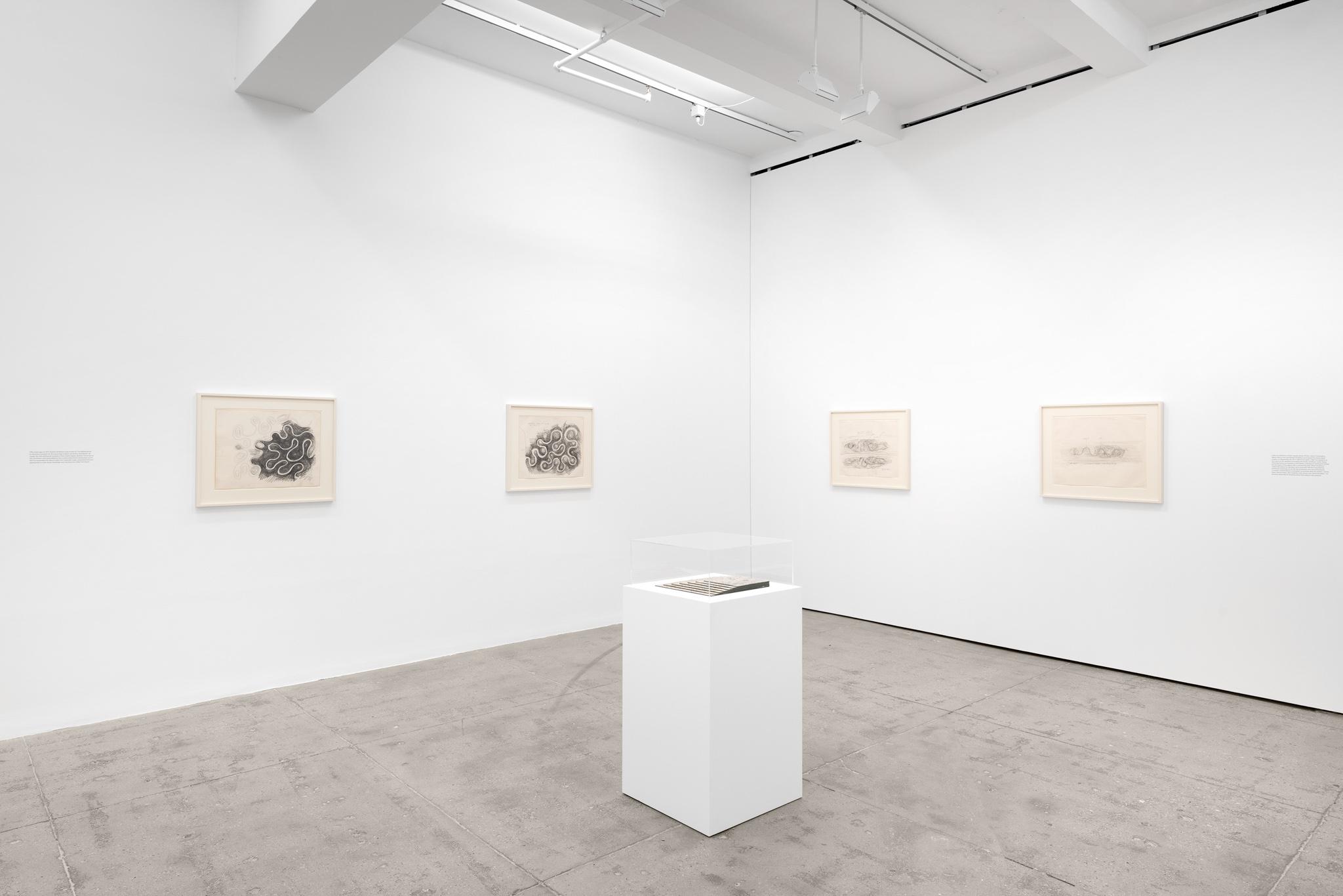 installation at Marain Goodman Gallery, Tribeca