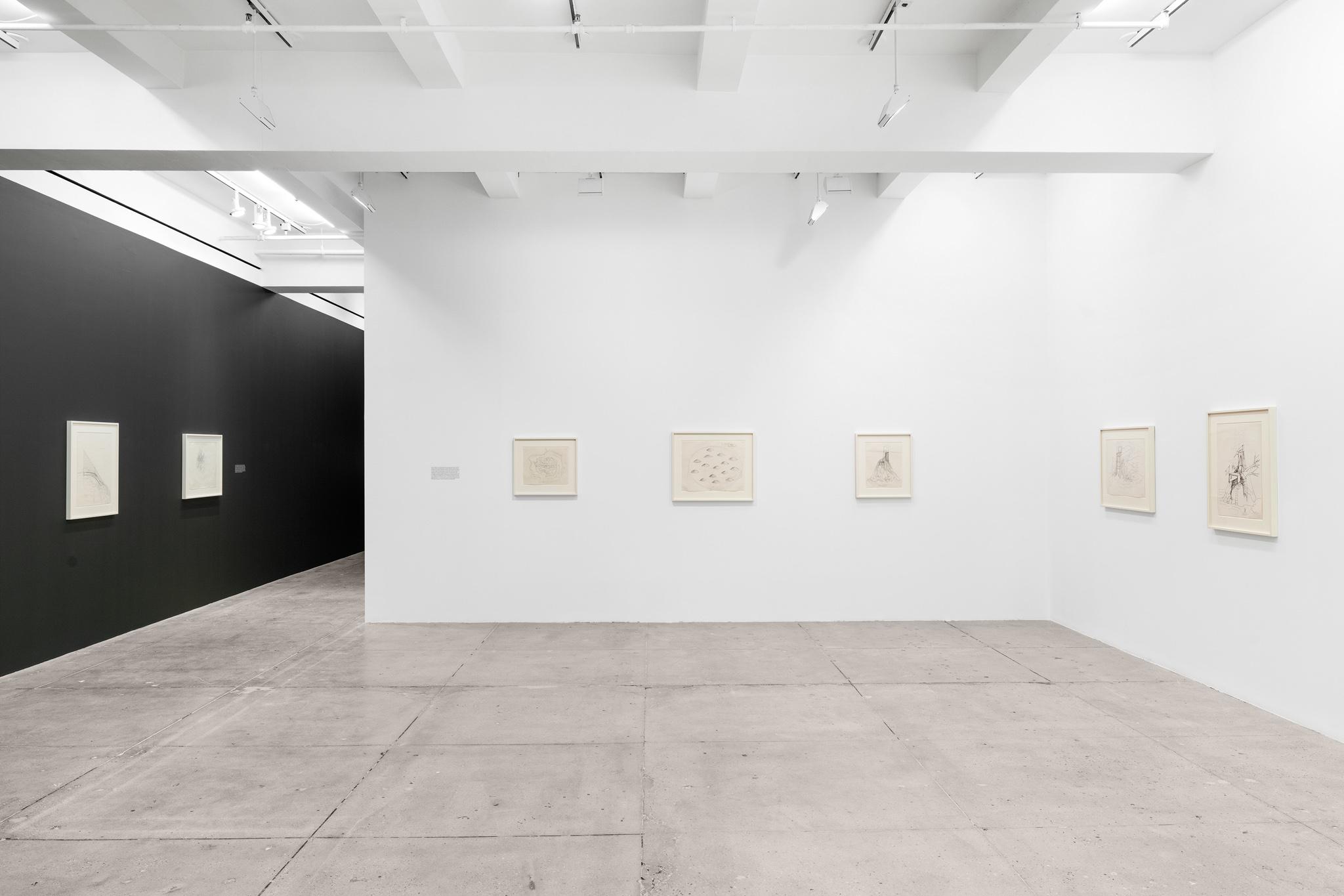 installation at Marian Goodman Gallery, Tribeca