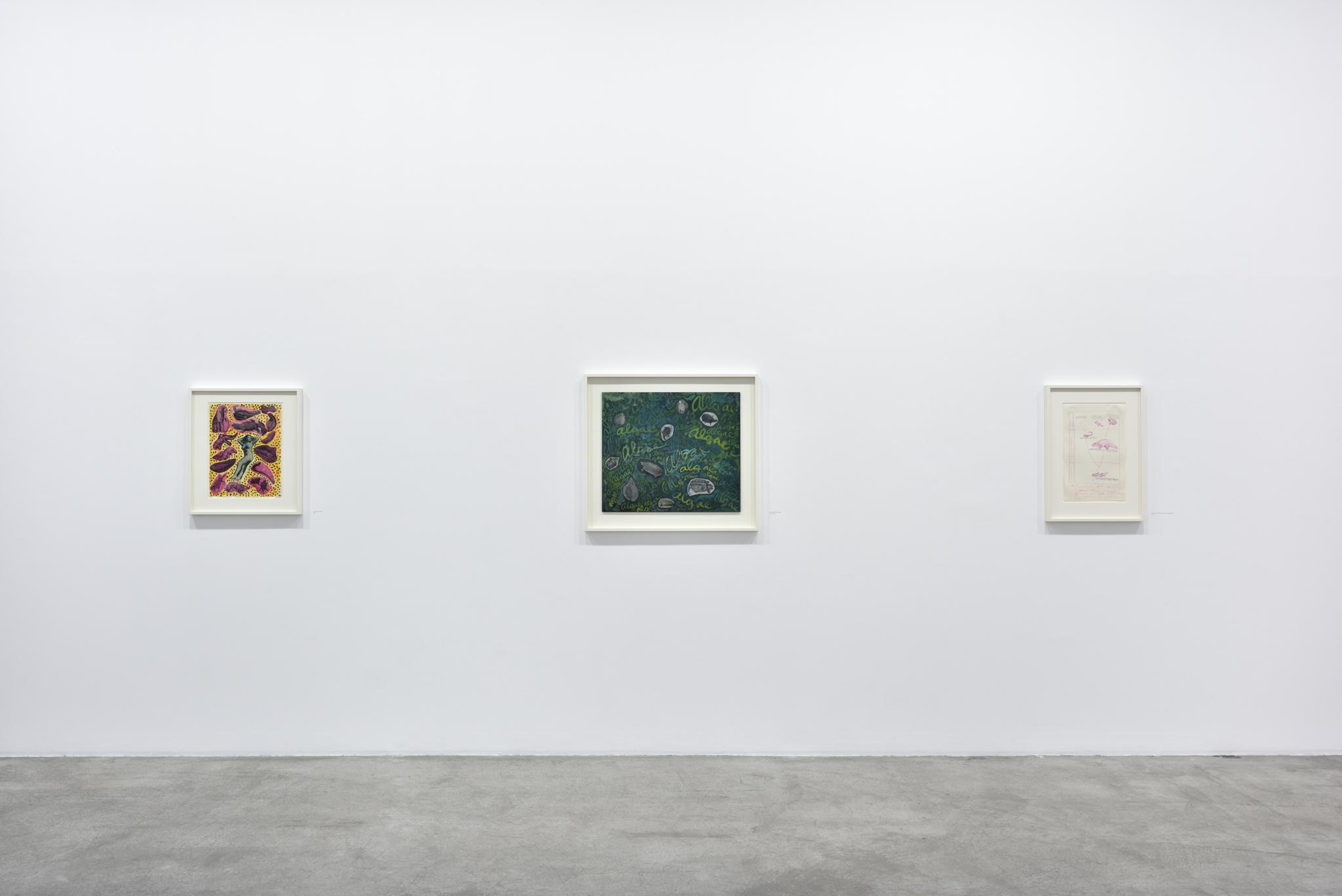 installation at Galerie Marian Goodman, Paris