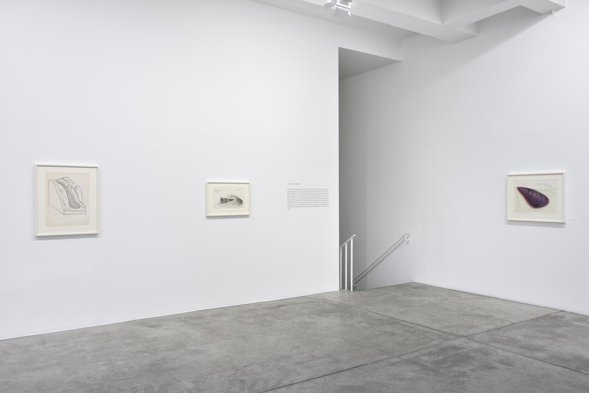 installation at Galerie Marian Goodman, Paris