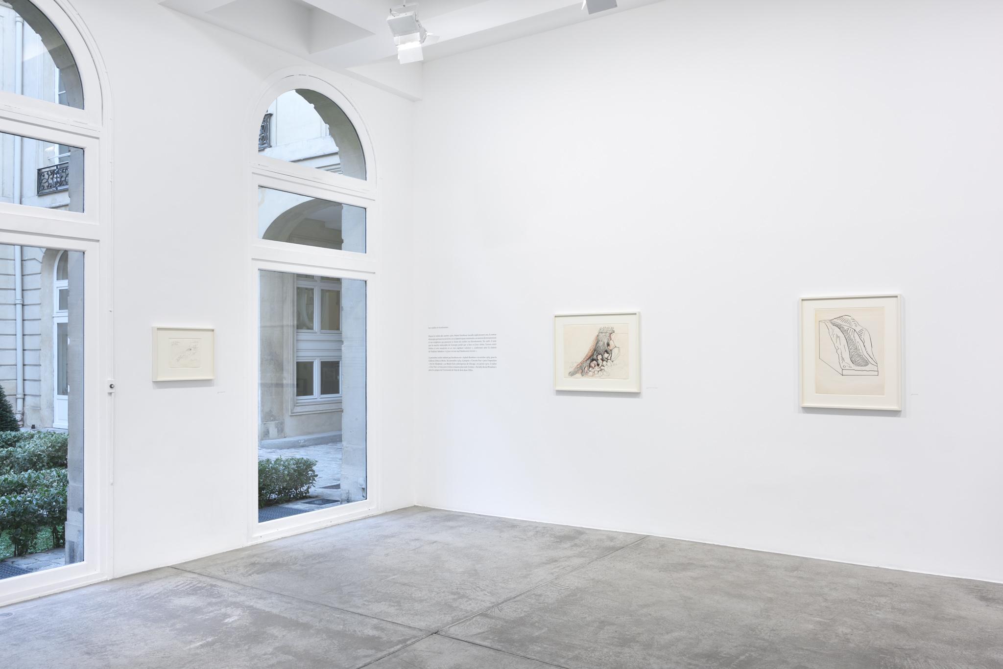 installation at Galerie Marian Goodman, Paris