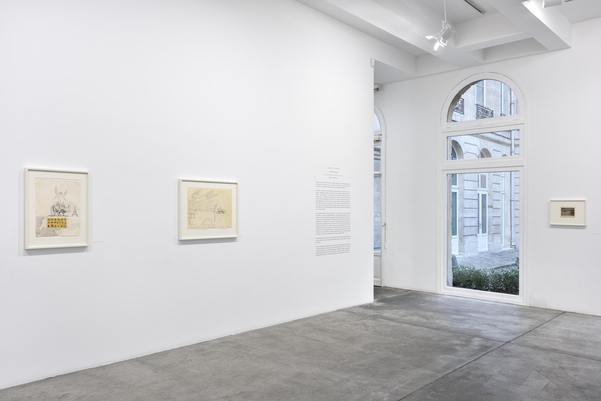 installation at Galerie Marian Goodman, Paris