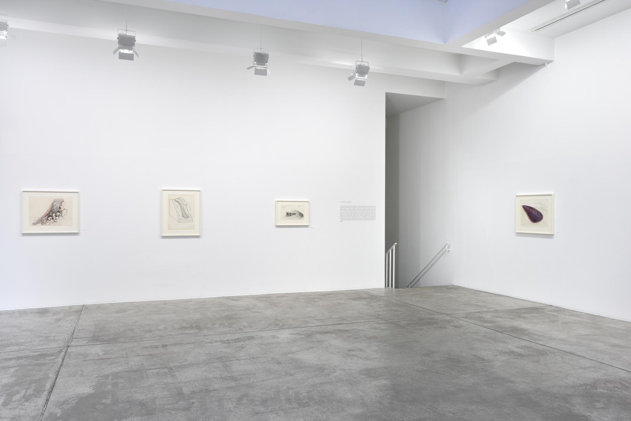 installation at Galerie Marian Goodman, Paris