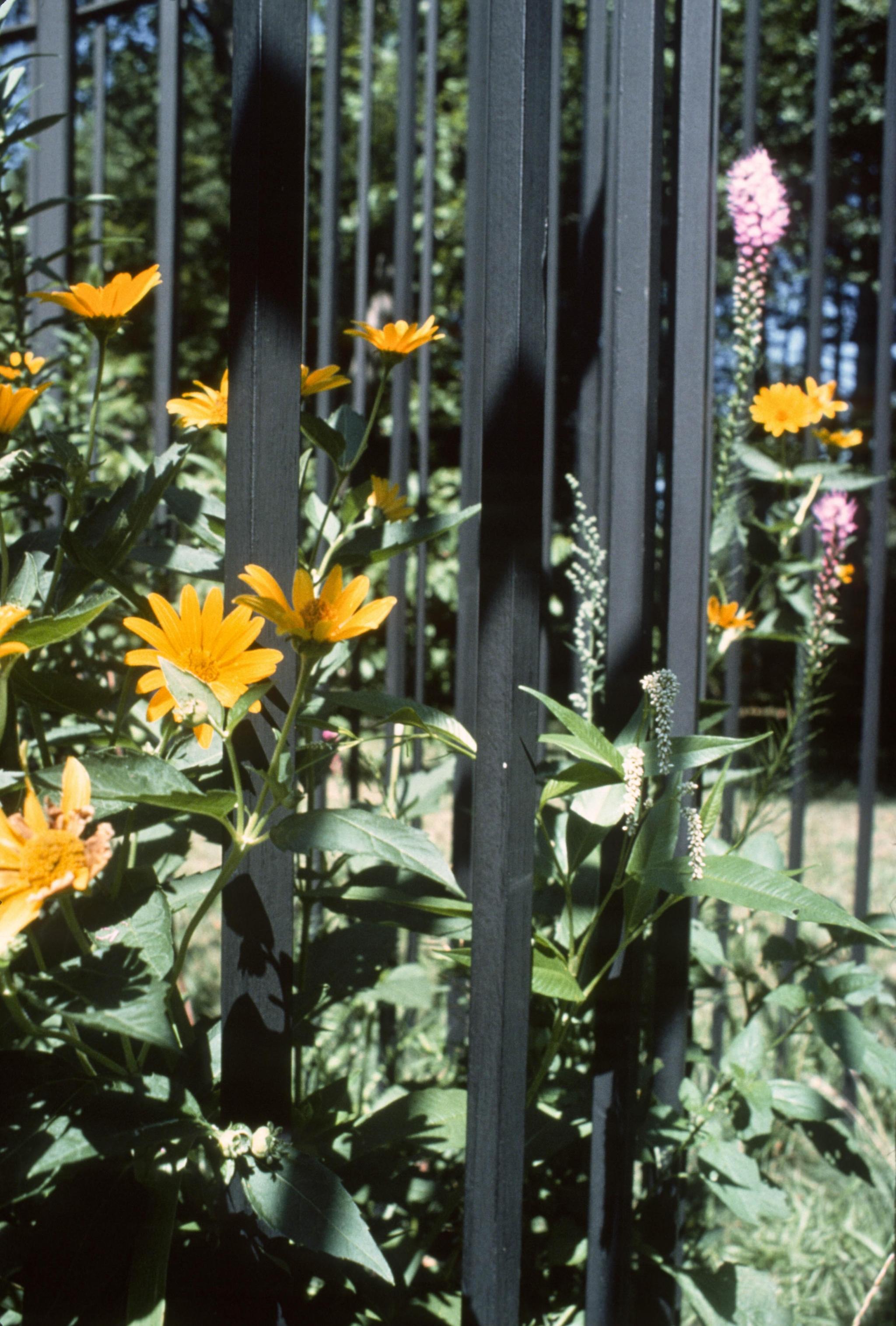 a sculpture of two circles made of fencing, with wild flowers at the center