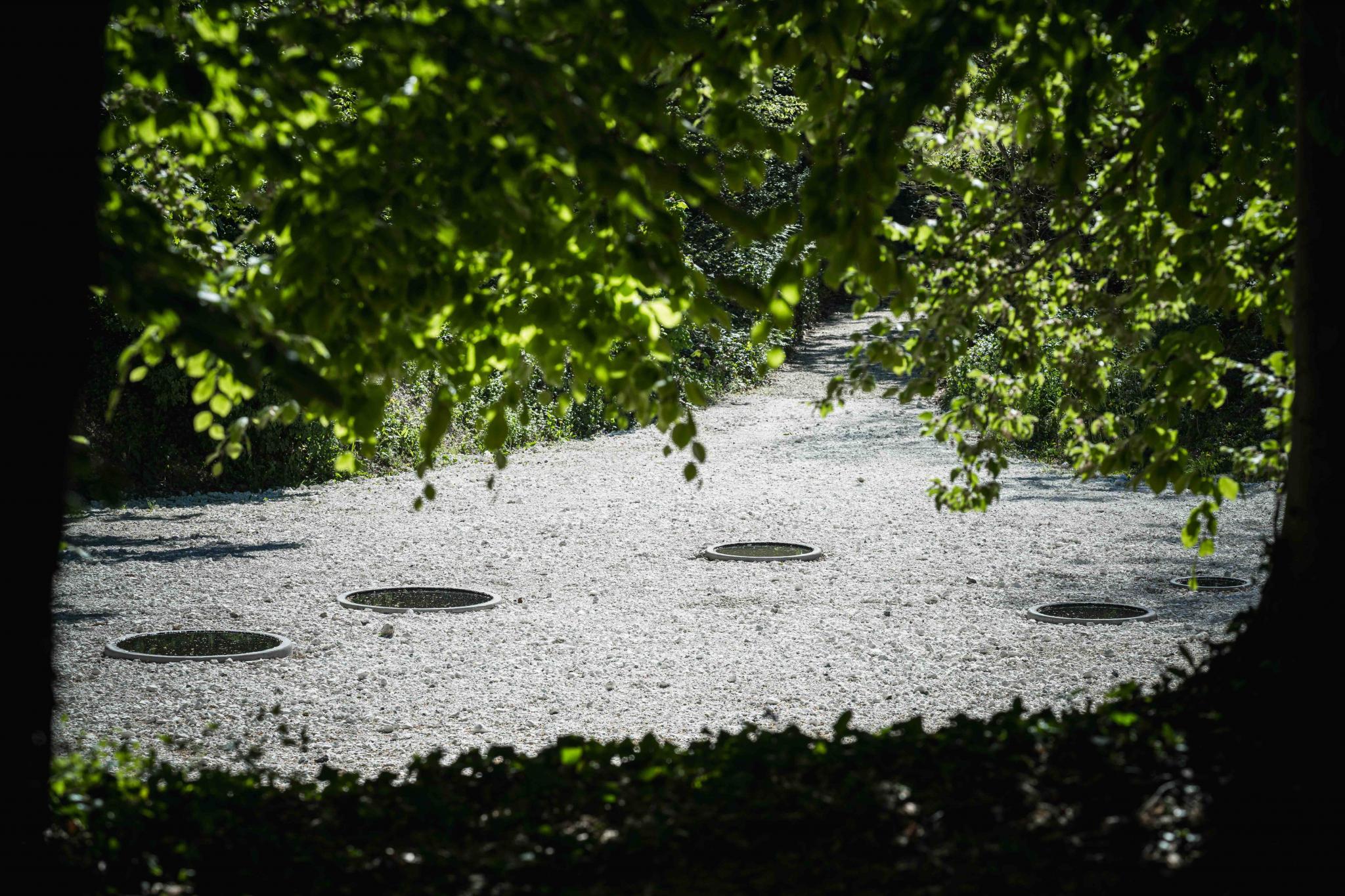 an earthwork in a wooded landscape