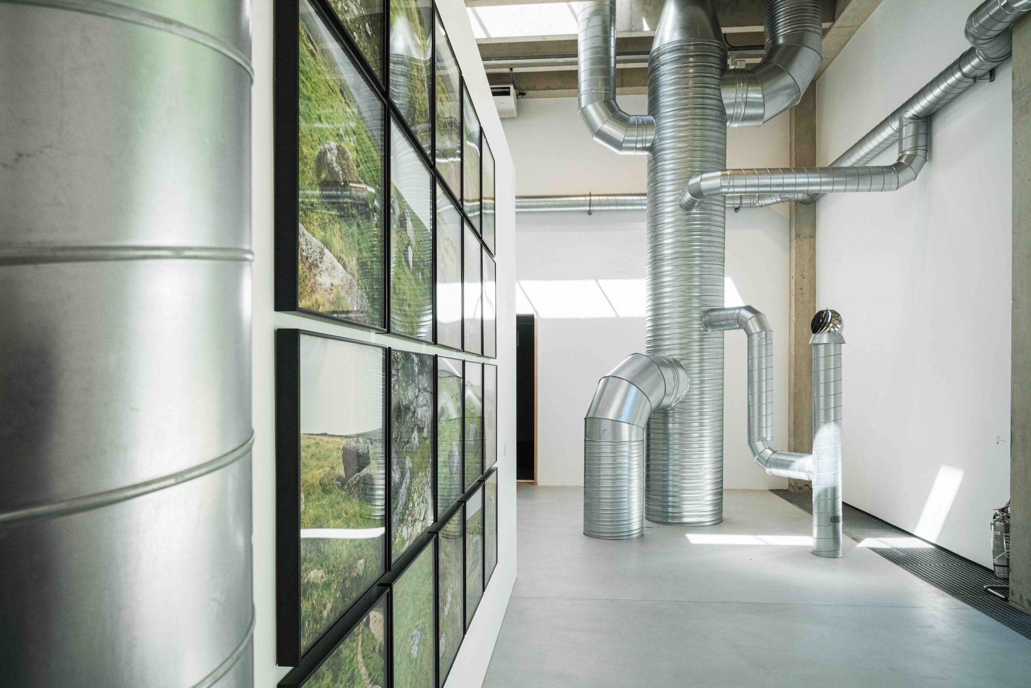 a detail of a gallery exhibition