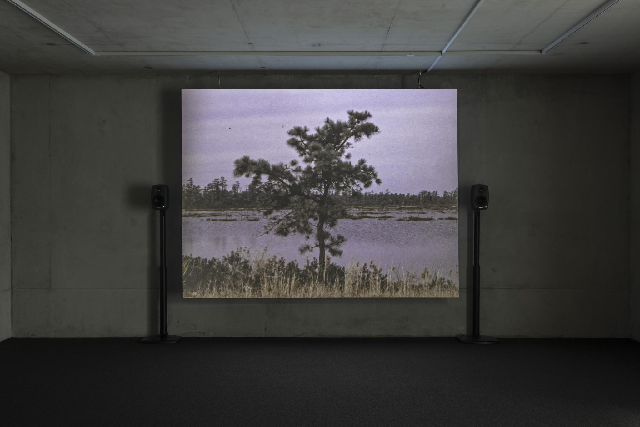 still of an artist film